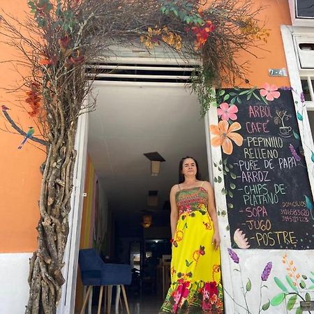 ホテルArbol Cafe Caicedonia エクステリア 写真