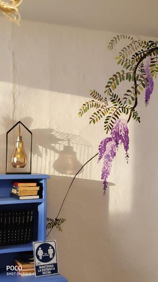 ホテルArbol Cafe Caicedonia エクステリア 写真