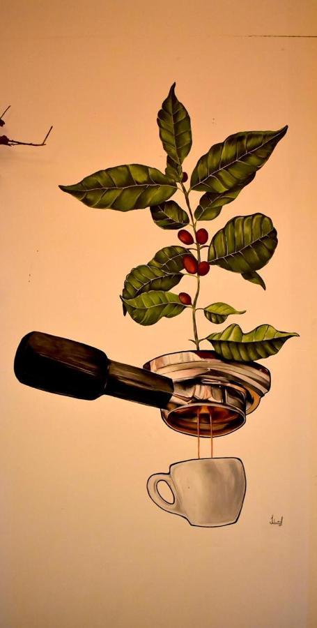 ホテルArbol Cafe Caicedonia エクステリア 写真