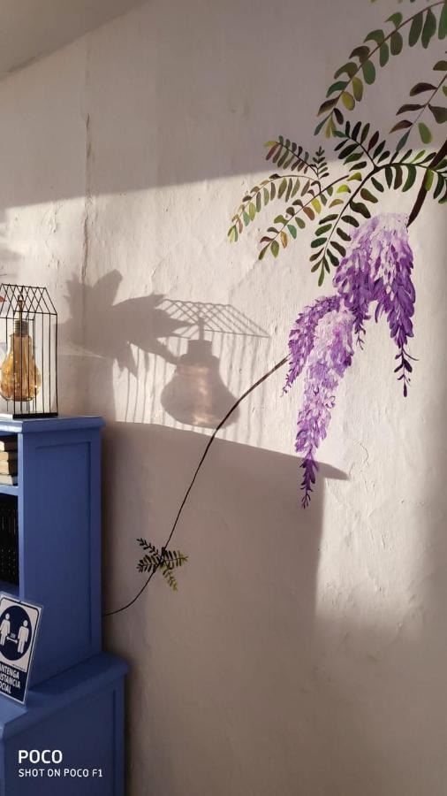 ホテルArbol Cafe Caicedonia エクステリア 写真